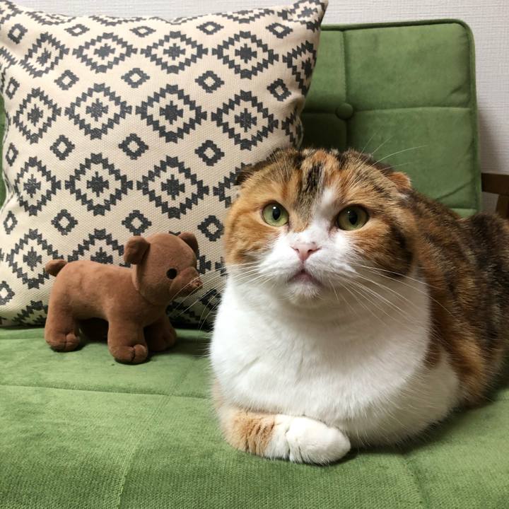 88ad8262 5db3 4338 90f7 53e0cc44a4a9 1592751575086