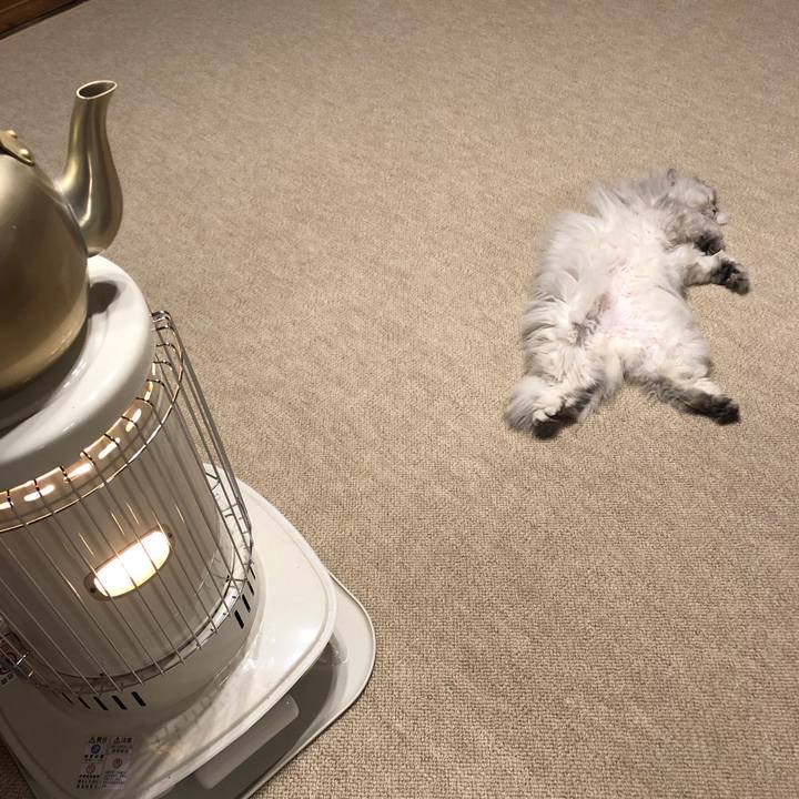 88ad8ee3 87cf 4807 8619 7e5aedffef8f 1553989106564