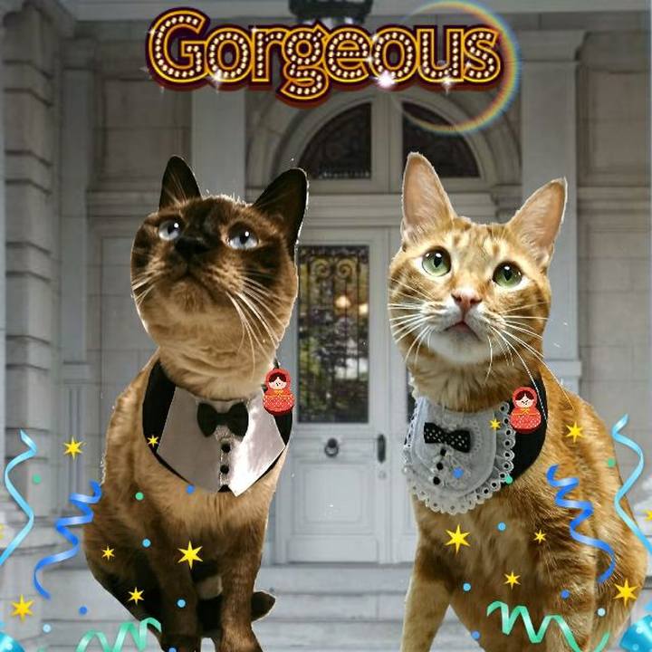 88ad9039 46f1 448d a01d 358758e34a9f 1533382700892