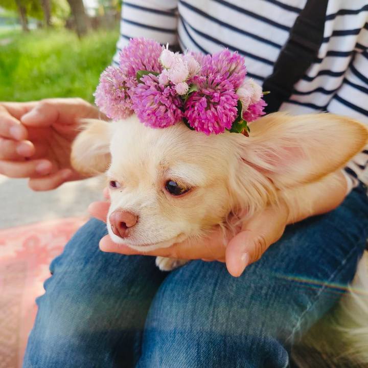 88adac73 f29a 4ab1 9e40 893220c17bad 1620800598528