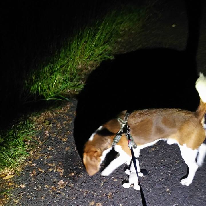 88adaeb6 2abd 4106 bec8 c1248b04e183 1557925480462