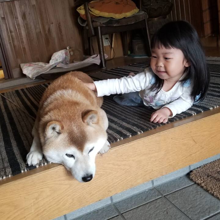 88adb4ef 4648 4454 a69d 2672996c45a7 1681533658067