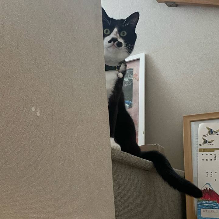 88add019 8b66 4fee b002 5addc389d739 1743722973296