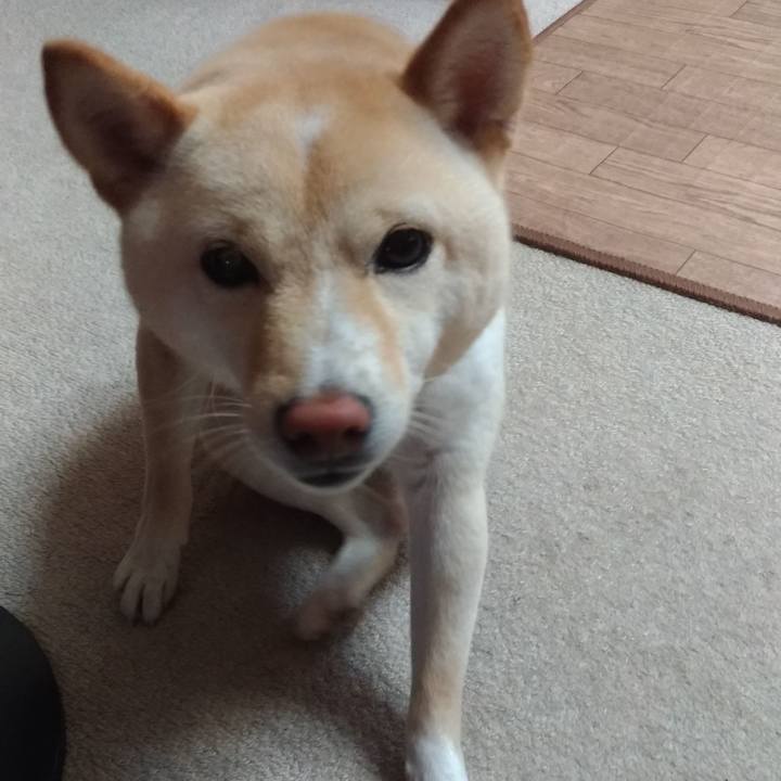 88ade9d7 6fe8 42e0 82ac ba4b15d88e88 1563255359967