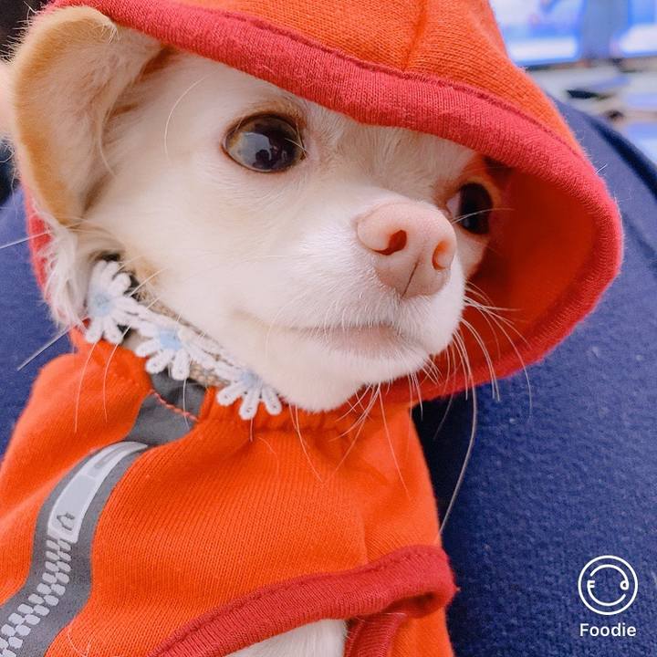 88ae3cb1 be3e 4f86 8b7f da217e21d0ab 1605736842354