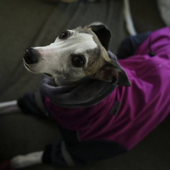 88ae4475 3544 40ab 9f52 a33f87fe4c62 1514454862960