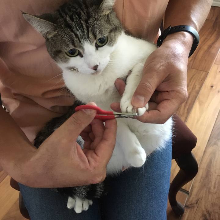 88ae5088 27f1 4980 bad4 60359ffbebec 1662941062575