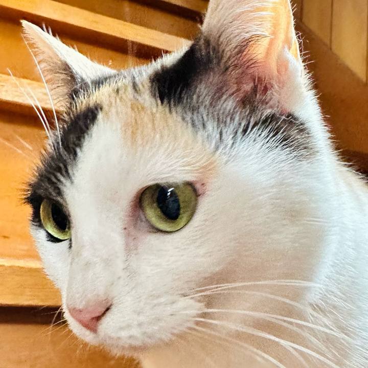 88ae5c0e e776 4dd4 8d86 906a9129c047 1716601288217