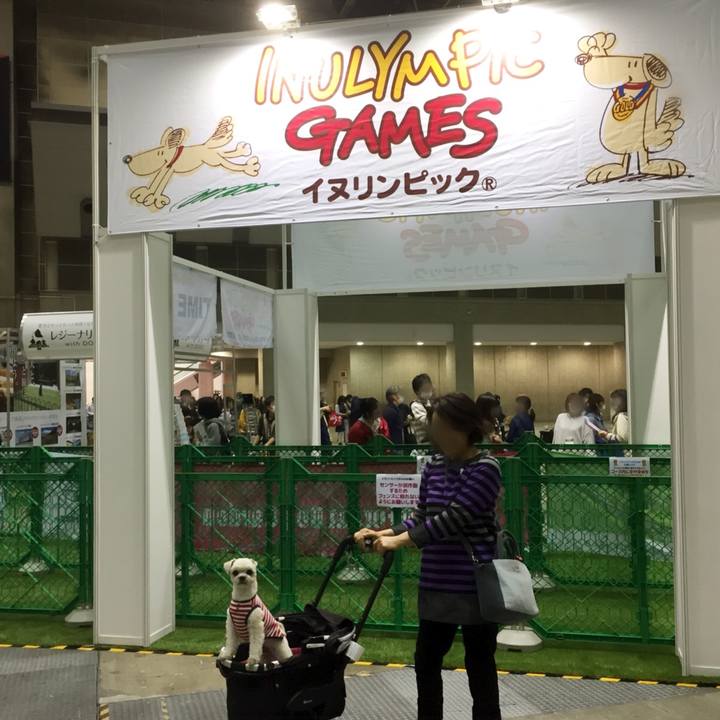 88ae6d30 077d 4d55 be99 6268070eedc0 1522411246215