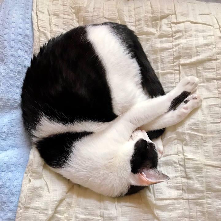 88aeab8f f2ce 4a16 a791 d04778069462 1508292657117