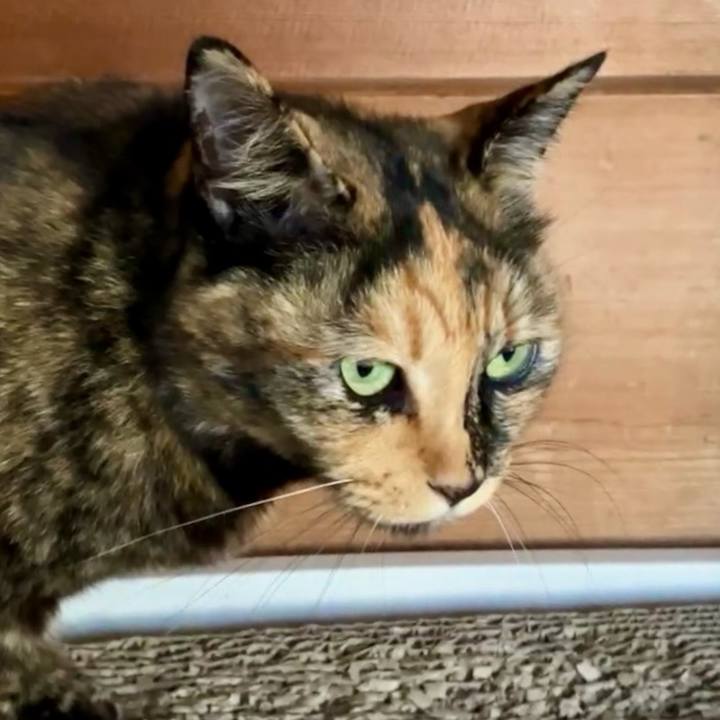 88aed5d2 61c0 4603 8172 538c51de042c 1730866732779