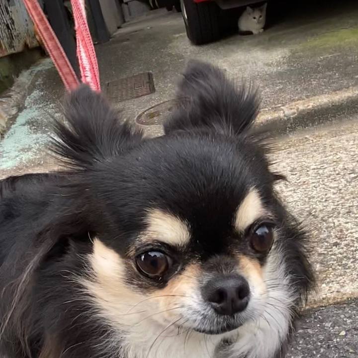 88aee979 2396 4ff6 ab8e e6cb9998d23e 1655533747894