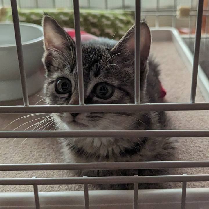 88af2899 915b 4ab9 994b ce61f8bf44d8 1699243123525