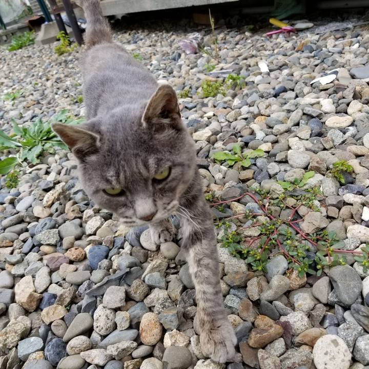 88afdf32 0370 4bd1 b7b2 f31a086f7891 1536571154681