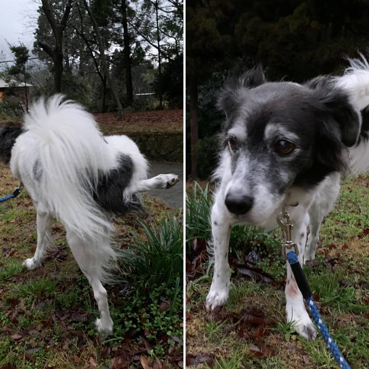 88afe6a3 850d 474e b882 99335bcea608 1577356711465