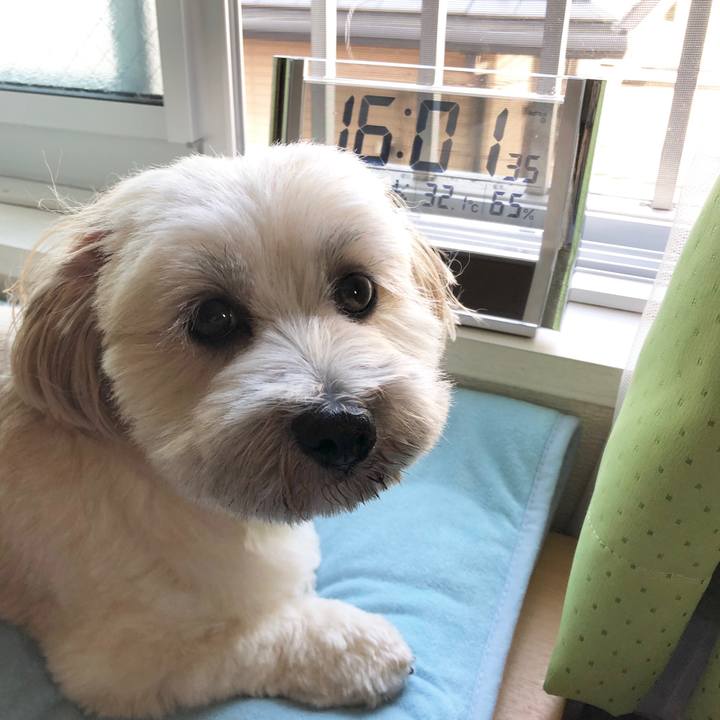 88afea30 6812 4aa8 bca4 4cb1f78214ad 1531898015125