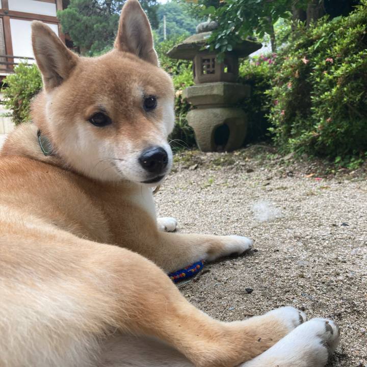 88b017a1 3fb5 4111 976a 11a3bbd00453 1623135730898