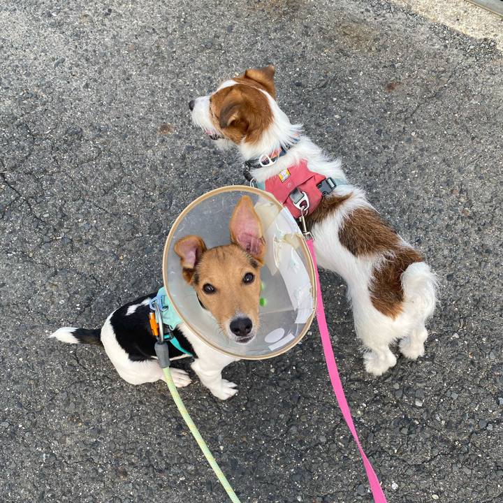 88b0395d f7e6 4768 9ffb 9a50a37dc502 1751157266989