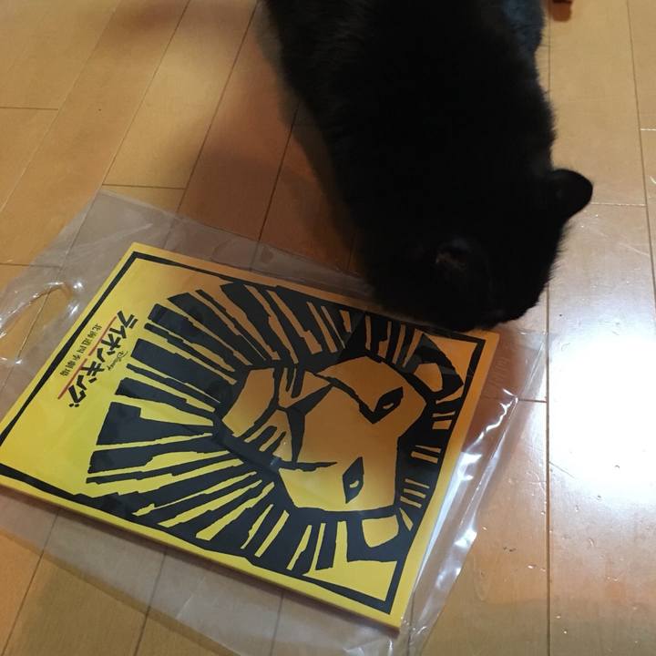 88b0746a 243d 4900 a8cf 56ce3e09cc91 1525873887219