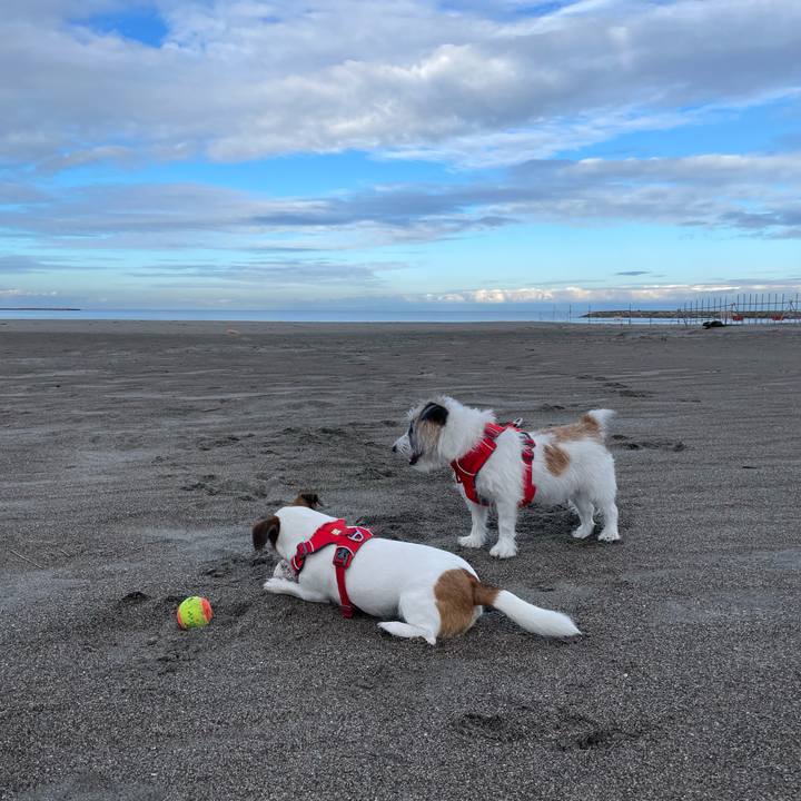 88b08ad7 361b 49ba 83cd 8a67e1635df8 1665704842359