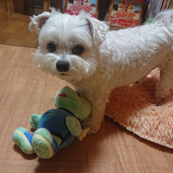 88b0b48e f3b1 4341 9287 2dcc60b5084d 1614303756372