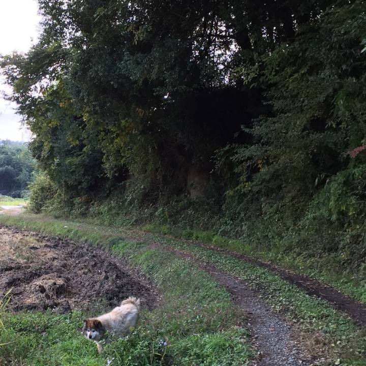 88b0ddff b77c 4112 bc6e c928def03754 1600005463247