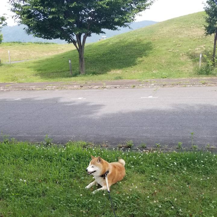 88b0e640 1223 40fb 9cfa e83d0d68dc6f 1656460408794