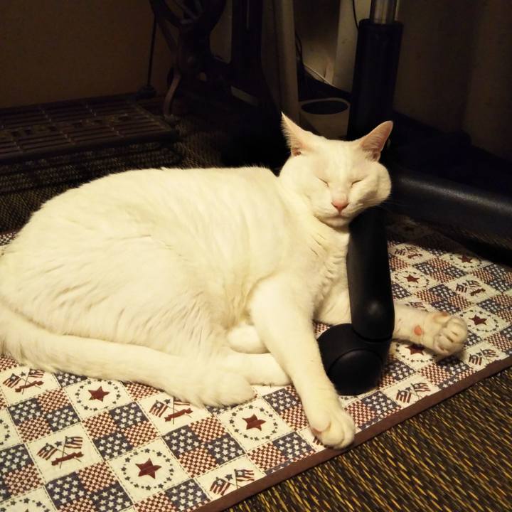 88b0f6b7 9298 4547 bc56 bd9fe43bc4e4 1562166516983