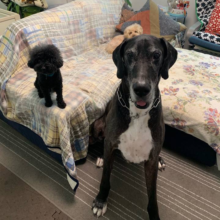 88b11ec6 ffd5 4ada 870d 530e63194b16 1562537847514