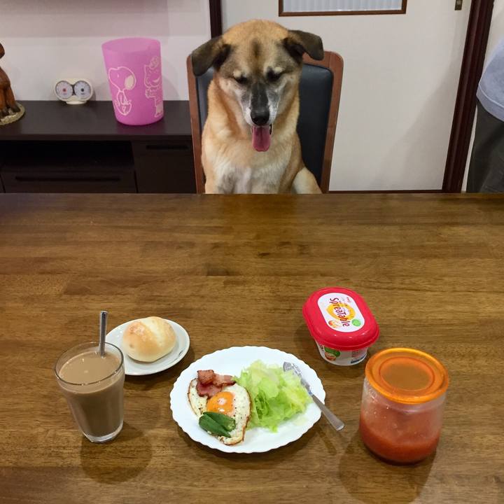 88b16147 11ea 4766 ab9c 49b61190d560 1536229766393