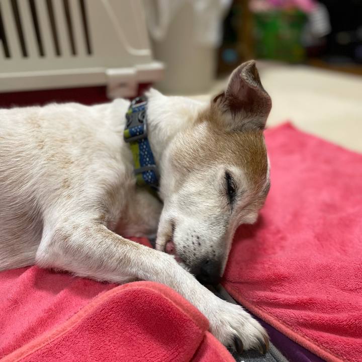 88b1624b 42de 45c7 9b75 66b5d50828f2 1659873247655