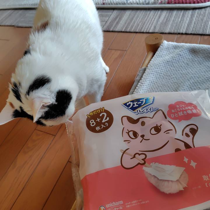 88b174d9 d5e9 4cfd b108 dcc4c238bbea 1774339803614