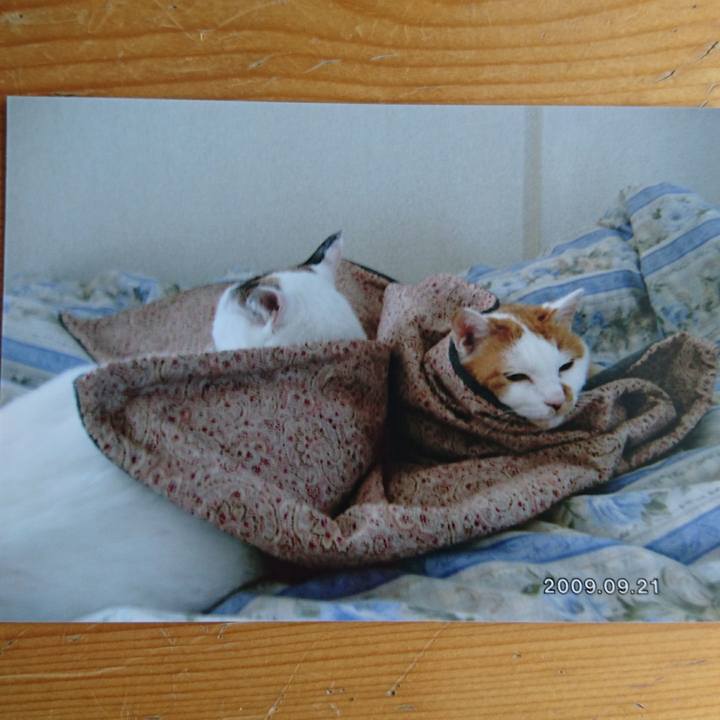 88b18fbb 261f 414a a381 f27188f3ecdd 1514696404620