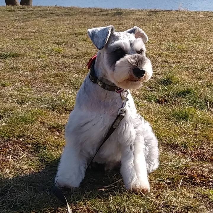 88b1b0d0 06c7 403f 928a 2ee4ca264cd3 1547644698381