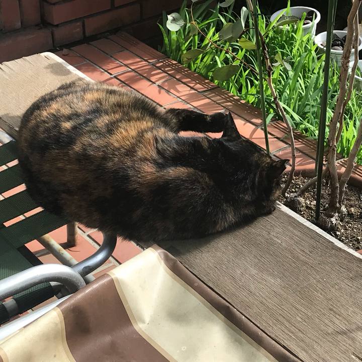 88b1cba9 fd37 457c 8b00 c8a26b11952b 1543118382025