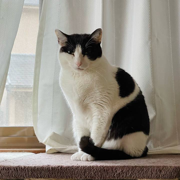 88b1cd18 c871 42e5 8548 807e5e32bbfe 1650422744622