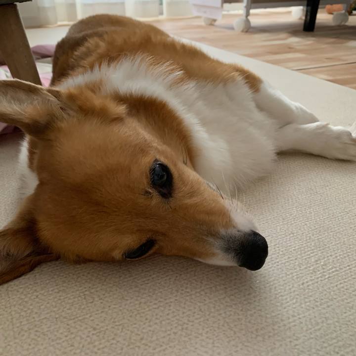 88b1d347 b750 4ee1 914e c30dbcfb1ec8 1719193074443