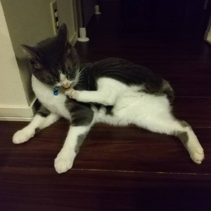 88b1dbac 6634 4940 a0f6 ae7b40a76858 1607031663229