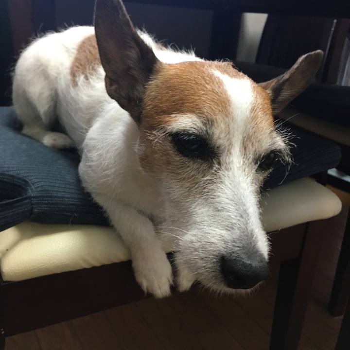 88b1e074 b093 44e8 91fd ba317e3663a0 1660176105905