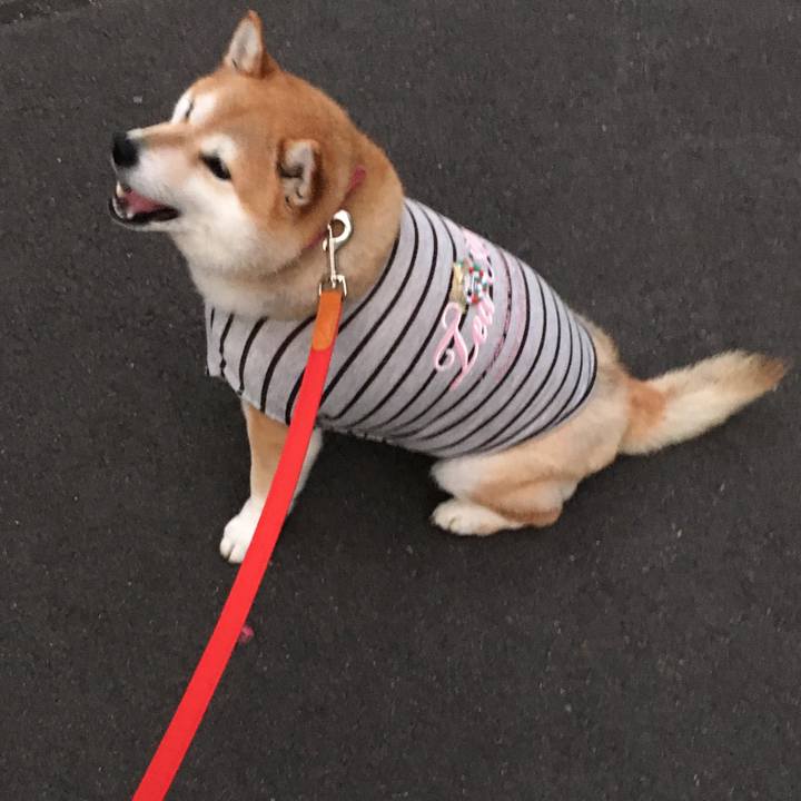 88b1e812 ab0f 4a23 91e0 148e1b9d82dc 1575881705806