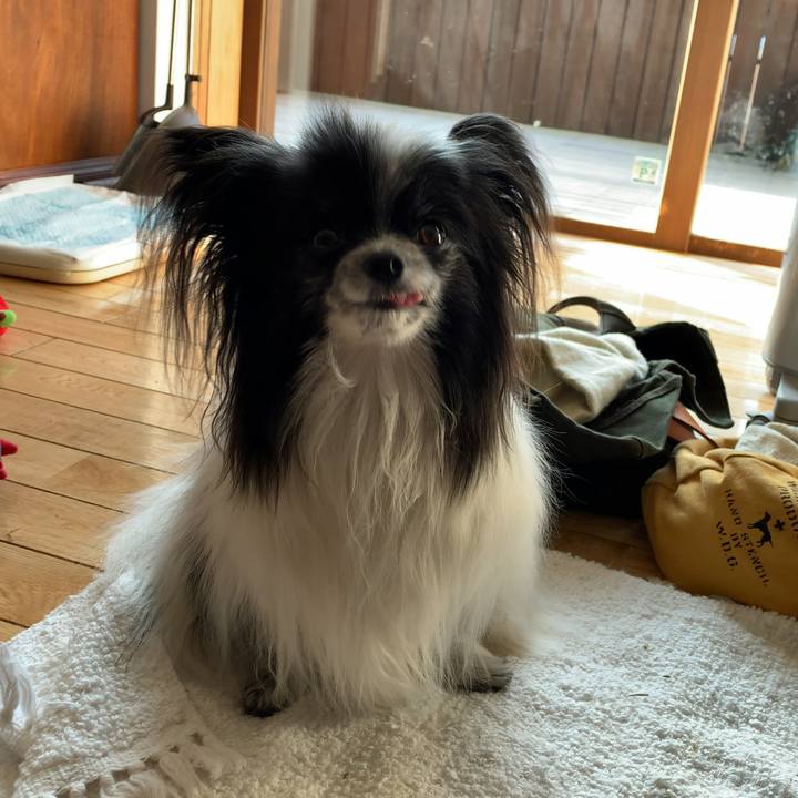 88b1f6ba 9839 4ee8 b1a2 923b60cafe38 1582290260456