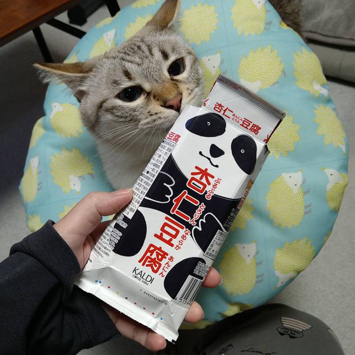 88b21b74 7989 4621 a1b0 1798e5d4e885 1700051074765