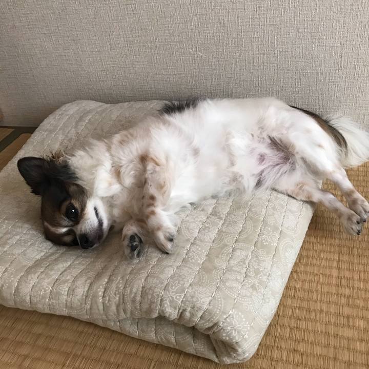 88b28b87 5be1 4bfa b9bc bcab2aa64d30 1596854794220