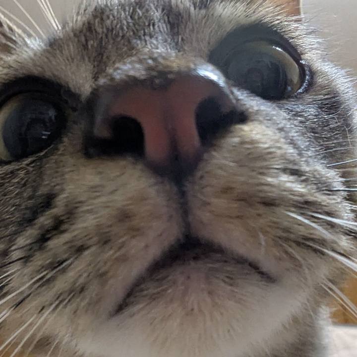 88b2a2a7 3416 4558 b44d 840b272ac4d8 1736582492700