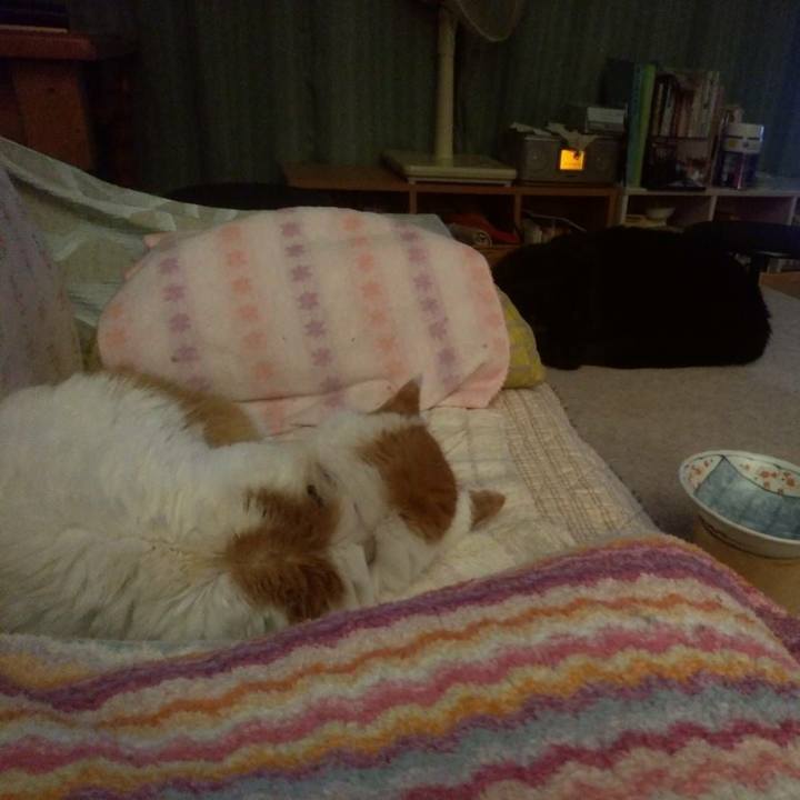 88b2a481 fdc4 4a22 a97b 7daf5015025e 1625918115509