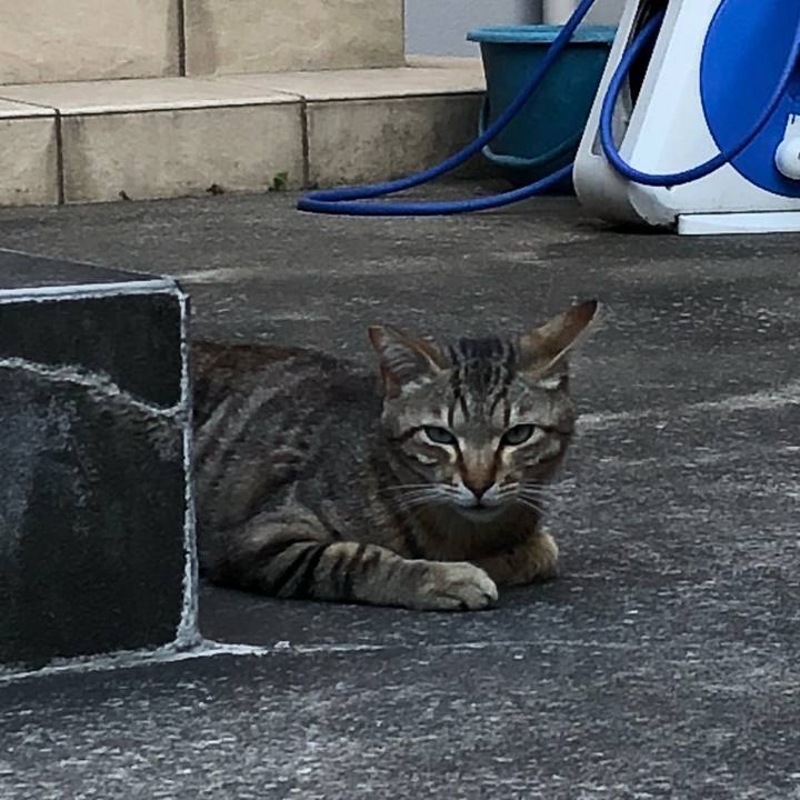 88b2a7e8 64d0 4ef5 8dde d2caf51d6b3b 1525549123565