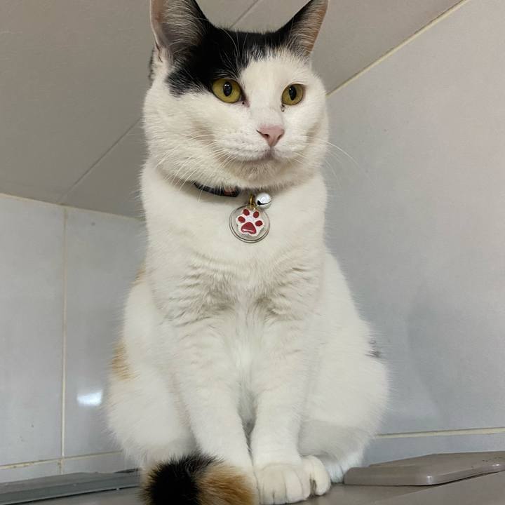 88b2afc8 852d 4442 9dce 4759833b4490 1644104901627