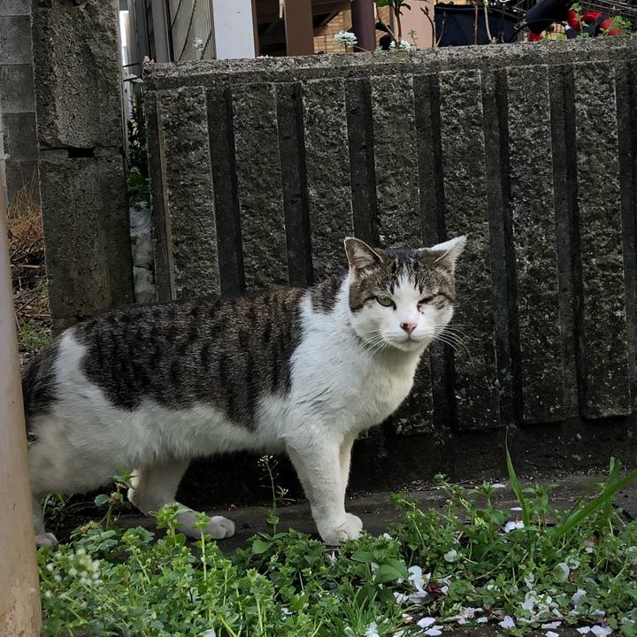 88b2b6f7 c42a 4833 acec 0652e8c5fb9d 1554473199064