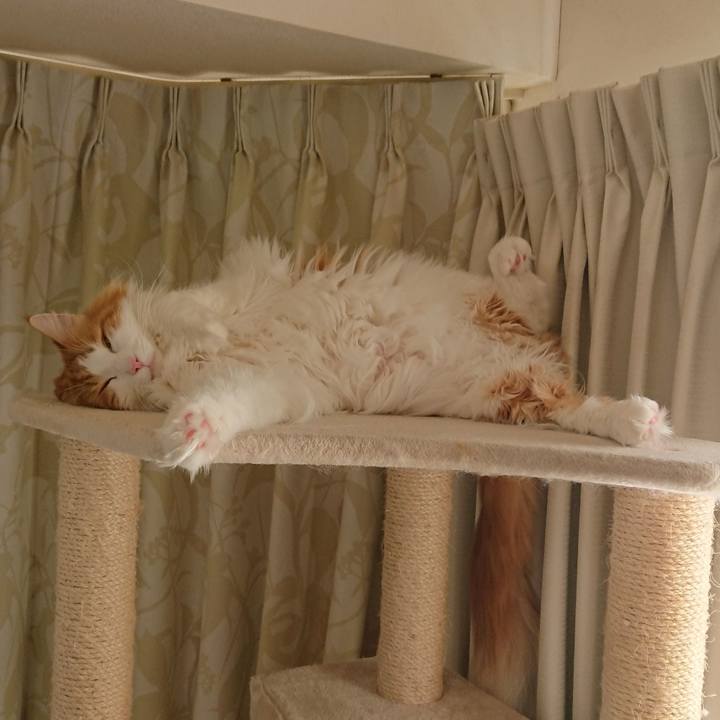 88b2d3f9 3295 4396 a836 68b5314713e2 1546174480608