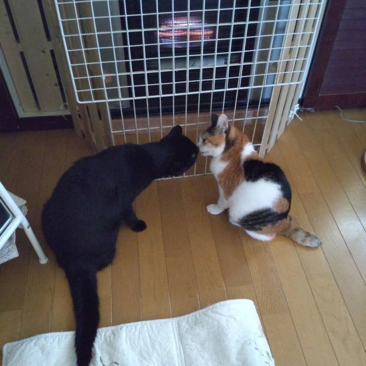 88b30d82 2250 4820 a462 27a812da4eeb 1695511473796